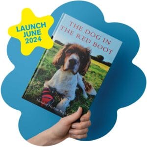 A hand holds The Dog in the Red Boot by Heather Nesbitt-Bayley, with a bright Launch June 2024 badge and the book cover showing a spaniel in a field.