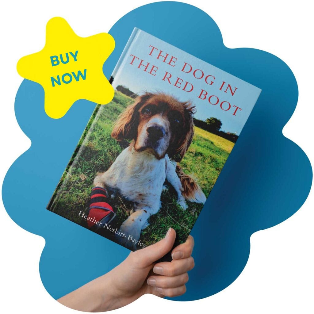 A hand holds The Dog in the Red Boot by Heather Nesbitt-Bayley, with a yellow Buy Now badge over a blue shape in a festival-style promotion.